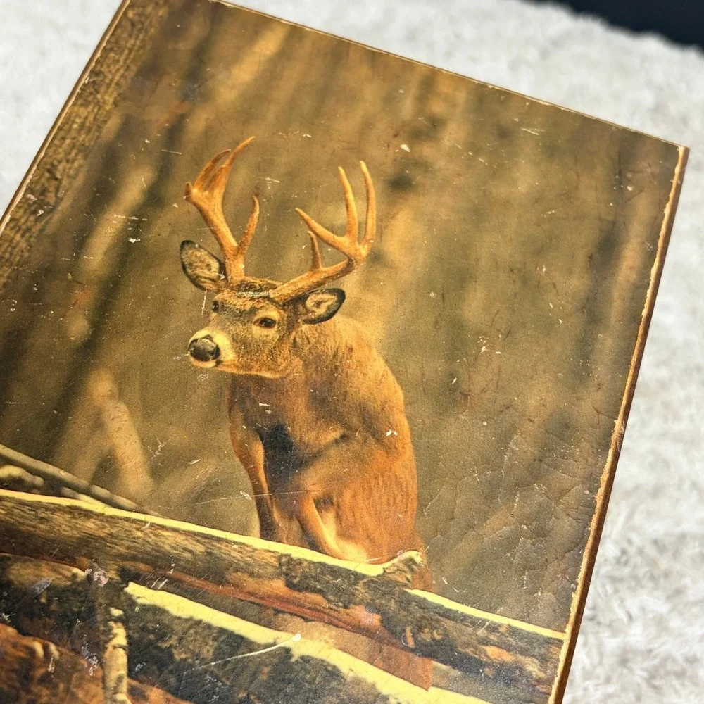 Vintage Minnesota Cedar Wood Trinket Box Deer Buck Wildlife Souvenir Rustic